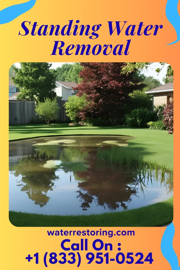 Standing Water Removal in Highlands, NJ